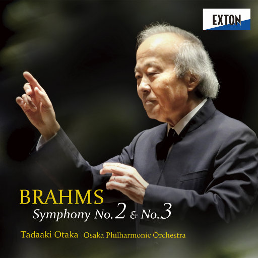 仙踪林小罗莉精品HD
